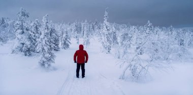Brave traveler before a long winter road. Lonely traveler in a fabulous winter forest. Severe northern weather, poor visibility. Polar expedition. Snowy slope in a foggy frost shroud. Wide panoramic.