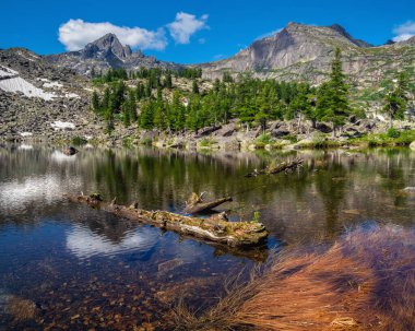 Bir yaz öğleden sonra Ergaki 'deki Sanatçılar Gölü' nde sıcak güneş ve ağaçların altında mavi gökyüzü bulunan Tayga kayaları arasında. Dağ güneşli manzarası. Sibirya dağlarındaki Ergaki Doğa Parkı. Batı Sayan.