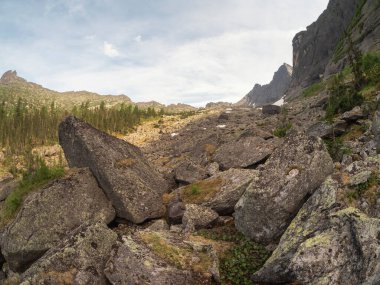 Batı Sayans Kurnik boyunca dağ yolu, taşlar, kaldırım taşları, eşsiz manzaralı yosunlar. Taş nehrin peyzaj fotoğrafçılığı (ayrıca taş akıntısı, taş akıntısı veya taş denizi olarak da bilinir). 