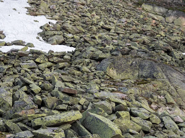 stock image Kurumnik, a scattering of large stones on the mountainside. Granite boulders covered with green moss. Landscape photography of stone river.