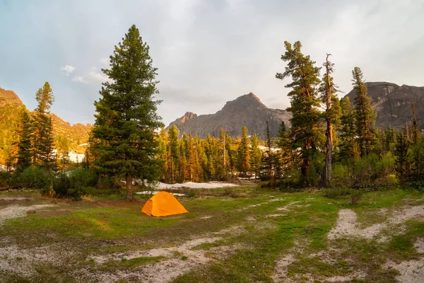 Tente Solitaire Dans Forêt Montagne Tente Camping Orange Sous Vieux — Photo