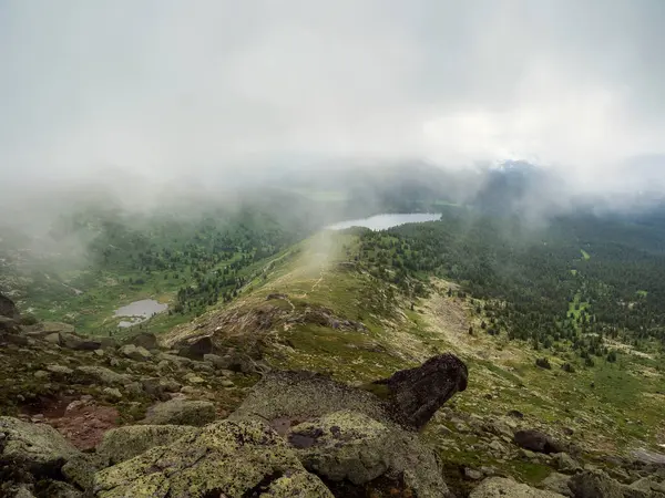 Misty Spectaculair Uitzicht Schilderachtige Vallei Met Prachtige Bergbos Meer Naaldbos — Stockfoto