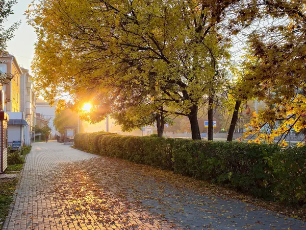 Landscape of city road in fall season. Autumn in the city of Gorno-Altaysk. Autumn city street.