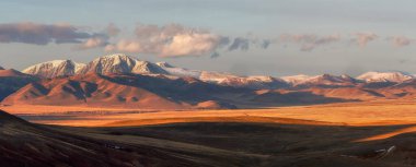 Kuzey Chui tepesinin geniş panoramik manzarası, karla kaplı dağ zirveleri ve altın sonbahar Kurai bozkırları. Sarı bozkır ve gün batımında karanlık dağlar.