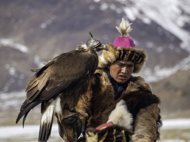 Ulgii, Moğolistan - 01 Ekim 2023: Kuzey Moğolistan. Altın kartal avlayan bir erkek avcının portresi. Kartal avcıları Moğolistan 'da altın kartallarla eğitip avlanan bireylerdir..