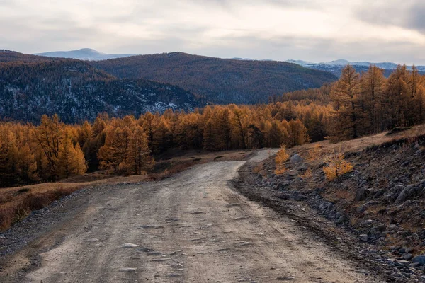 Mountain autumn off-road track to high mountain village in Altai region. Dangerous narrow cliffside mountain road through sharp rocks. Dangerous dirt driving along mountain to edge and steep cliffs.