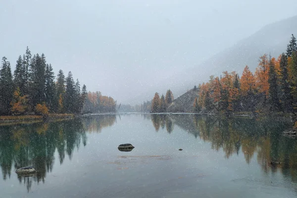 Poor visibility. Fall colors in the snow on a Argut river shore. Calm water surface of the lake during a snowfall. Altai region.