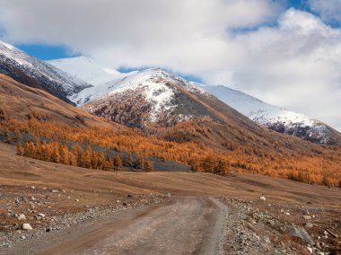 Uzun ve dolambaçlı bir yol. Dağlarda bozkırlarda kayalık toprak bir yol, yamaçlarda altın sonbahar ağaçları ve dağların tepesindeki ilk karla dolu resimli sonbahar manzarası..