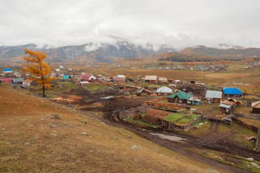 Dağın altında küçük bir köy. Toprak yol. Gerçek kırsal yaşam. Rusya 'nın Belyashi köyü Altai Krai' de karlı ve sisli bir günün altın sonbahar manzarası..
