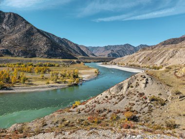 Katun Nehri bir sonbahar dağ vadisinde akar. Vadide kuraklık ve turkuaz nehirli sonbahar manzarası. Altai dağlarında ünlü bir turistik yer.