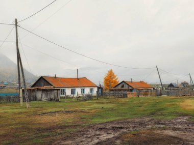 Sonbaharın sonlarında nostaljik kırsal alan. Altai sonbahar çiftliği. Uzak dağ köyündeki ahşap ev, ahşap kulübe. Bahçede yakacak odun.