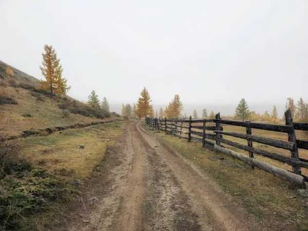 Dirt road through the autumn larch forest. Farm road next to the dry field fenced by a wooden fence.