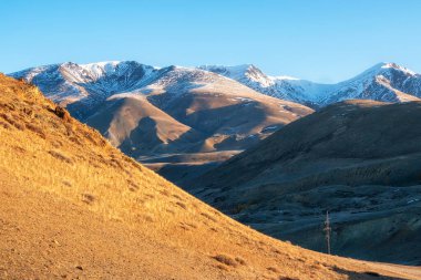 Parlak güneşli sonbahar yamacı. İnanılmaz karlı dağ manzarası. Sibirya 'nın yüksek dağ zirvesi ve Altai arka planı güneşli gökyüzü. Sonbahar dağının doğal manzarası.