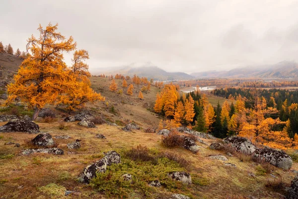 Nuvens Neve Grossas Flutuam Sobre Vale Montanhoso Arborizado Outono Com Imagens Royalty-Free