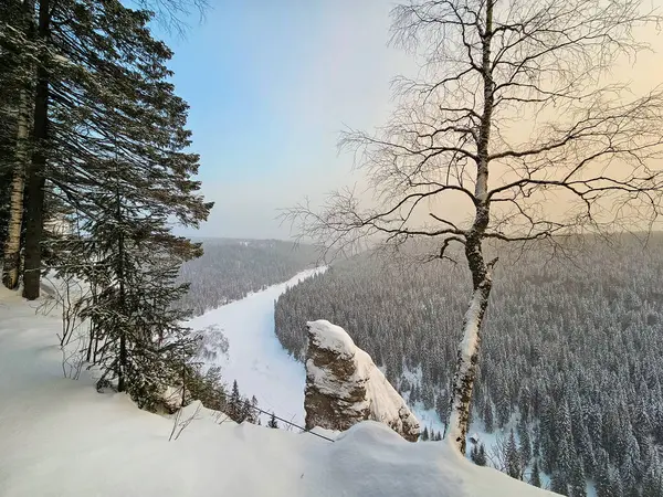 Прекрасний Схід Сонця Морозний Ранок Снігова Скеля Дерева Краю Зима Стокове Фото