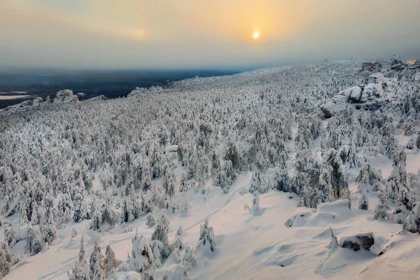 Mystical dawn in the winter. Mountain path through a snowy forest. Sun is low above the horizon. High stone cliff covered with snow and rise above the coniferous forest at sunrise.