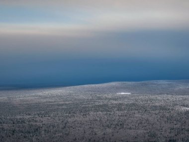 Pembe buzlu sis altında karlı kozalaklı orman halısı. Tepelerin tepeleri buzla kaplı. Puslar ufukta saklı.. 