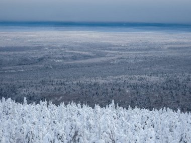 Uzağa uzanan bitmeyen ormanlar. Sabah sisi altında karlı kozalaklı orman halısı. Tepelerin tepeleri buzla kaplı. Puslar ufukta saklı.. 