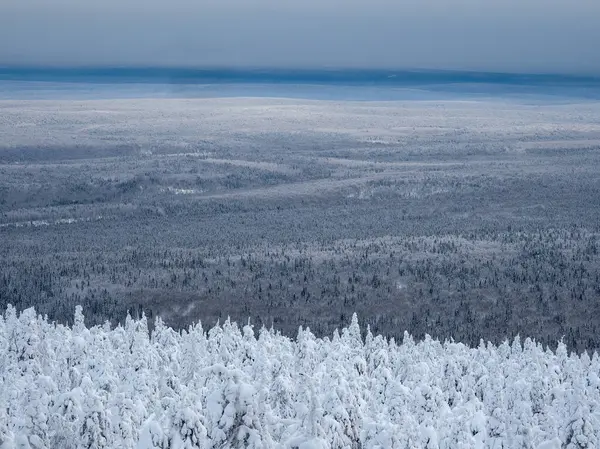 Uzağa uzanan bitmeyen ormanlar. Sabah sisi altında karlı kozalaklı orman halısı. Tepelerin tepeleri buzla kaplı. Puslar ufukta saklı.. 