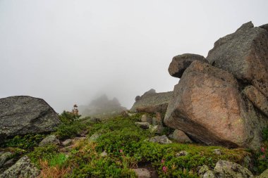 Siste çiçek açan güzel yeşil çayır. Ön planda büyük granit kayalar var. Yeşil dağ, yağmurlu ve sisli tepelerin arka planında.