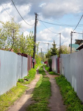 Rusya 'nın kırsal kesimindeki otantik dar toprak yol bahar zamanı. Köyde yeşil yol var. Köy evleri olan bir sokak. Bahar manzarası. Dikey görünüm.