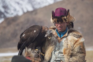 Ulgiy, Moğolistan - Ekim 01, 2023: Kuzey Moğolistan. Altın kartallı bir erkek avcının portresi. Avcı kuşlu bir göçebe..