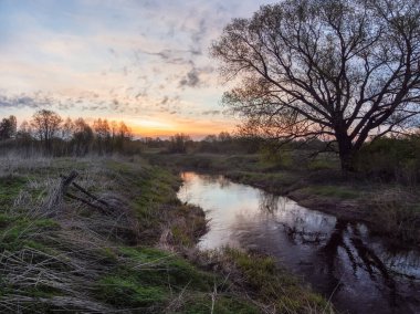 Güneşin doğuşuyla güzel bir sabah manzarası. Nehir tarlada, sonbahar ağacının altında akıyor.. 