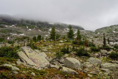Uzak yağmurlu dağlarda kamp yapmak. Atmosferik orman manzarası alçak bulutlardaki kozalaklı ağaçlarla yağmurlu havalarda. Batı Sayanlar.