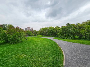 İlkbaharın başında Moskova 'daki Leylak Meydanı. Yeşil ağaçlar ve çimlerle dolu boş bir patika. Central Park 'ta ilkbahar.