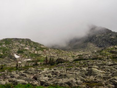 Atmosferik orman manzarası alçak bulutlardaki kozalaklı ağaçlarla yağmurlu havalarda. Dağlarda, gri bulutlu gökyüzünün altında yağmurda kasvetli bir sis. Yoğun sisli kozalaklı ormanlı gizemli bir manzara..
