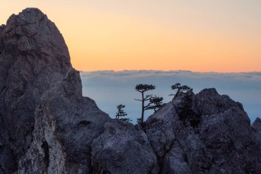 Muhteşem dağ vadisinde güzel bir gökyüzü olan harika bir gün batımı. Dağ çam ağaçları bulutların üzerinde dik kayalıklarda yetişir. Dağ sırası Ai-Petri. Kırım manzarası.