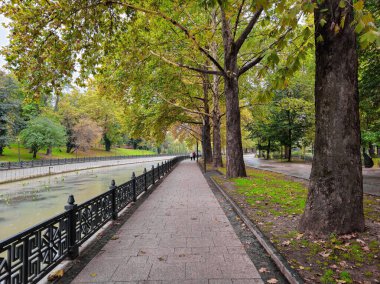 Sonbaharda Platanus 3 'lü şehir dekoratif kanalı - , .