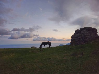 Alacakaranlık Dağları 'ndaki bir atın siluetini kapat. Sonbahar otlağındaki güzel at akşam dağının arka planında poz verir..
