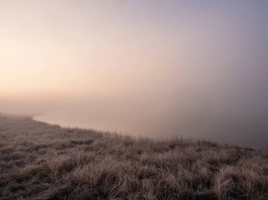 Bataklıkta güneşli bir şafak, yoğun bir sis. Minimalist doğal sisli manzara. Gölün kıyısı sabahları zar zor görülebiliyor.. 