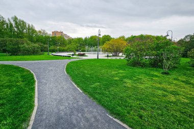 Parkta yürüyüş, Moskow 'da sakin ve huzurlu bir ortam. Çiçeklenmenin başlangıcı, gür leylak çalıları. Yeşil bir çim. Kentsel peyzaj.