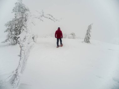 Kış tatili boyunca devasa sisli karlı dağlarda yürüyen tanınmayan aktif kişinin arka görüntüsü.