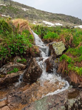 Clear mountain stream. Wildlife. Steep cliff and a glacial waterfall. Vertical view. clipart