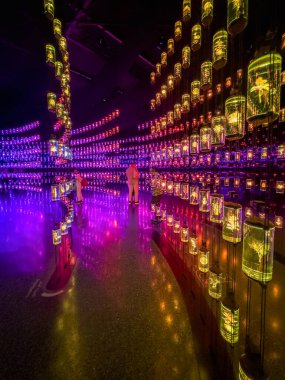 Dubai, BAE - 28 Mayıs 2024: DNA Salonu. İçerideki Geleceğin Müzesi, Dubai. Dubai 'deki Geleceğin Müzesi. 