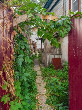 Eski kasabada otantik bir avlu. Sarmaşığa sarılmış çinko çitlerle birlikte dar bir yol. Dikey görünüm.