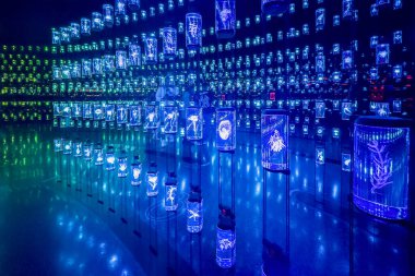 Dubai, BAE - 28 Mayıs 2024: DNA Salonu. İçerideki Geleceğin Müzesi, Dubai. Dubai 'deki Geleceğin Müzesi. 