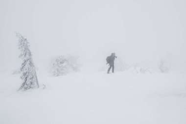 Tanınamayacak haldeki yalnız fotoğrafçı, kışın ormanlık alanda dolaşır. Sert hava koşullarında, kar fırtınasında, görüş mesafesi düşük..