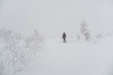Kış tatili boyunca devasa sisli karlı dağlarda yürüyen tanınmayan aktif kişinin arka görüntüsü.