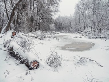 Kış parkında devrilmiş bir ağaç, derin bir ormanda donmuş bir dere, her yer karla kaplı.. 