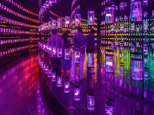 Dubai, BAE - 28 Mayıs 2024: DNA Salonu. İçerideki Geleceğin Müzesi, Dubai. Dubai 'deki Gelecek Müzesi' nin renkli iç mekanı. Dikey görünüm.