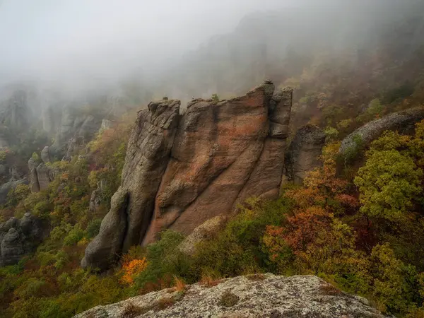Dağda sisli bir manzara. Sis içindeki kayalar. Kasvetli hava. Karanlık ve soğuk. Büyülü manzara. Kırım Yarımadasındaki Hayaletler Vadisi. 