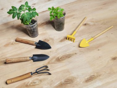 Çiçek fideleri. Çiçekçilik için aletler, küçük kürekler ve çiçek saksılarında toprağı işlemek için tırmıklar..