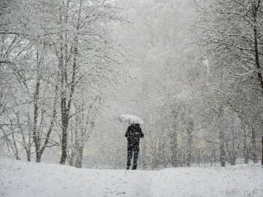 Görüş mesafesi zayıf. Kar altında insanlar şemsiye altında yürürler. Spring City parkında kar yağışı. Bahar manzarası. Arkadan tanınmayan bir adam bakışı..