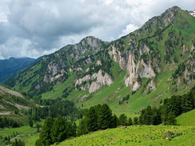 Yeşil ormanları ve yüksek zirveleri olan güneşli yaz platoları. Patika ön planda. Terektinsky Tepesi, Altai 'nin Sibirya doğası çok etkileyici..