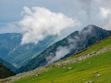Çimenli yamaçta gün ışığında yeşil bitki örtüsü ve taşlar. Değişken havada minimalist dağ manzarası. Güneşli, köşegen yeşil dağ yamacıyla güzel bir dağ manzarası..