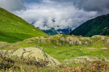 Güneşli yaz dağı kayalık arazisi. Alp Vadisi 'ndeki kayaların ve taşların arasında yemyeşil çimenler var. Uzaktaki birkaç sivri tepeye karşı.